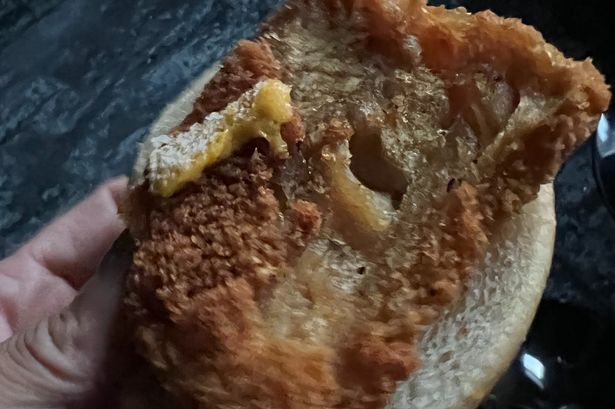 Mum's smelly McDonald's Filet-O-Fish 'was days old and gone off'