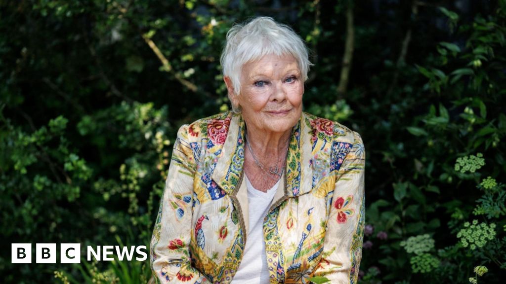 Dame Judi Dench and John Cena to voice Meta AI chatbot