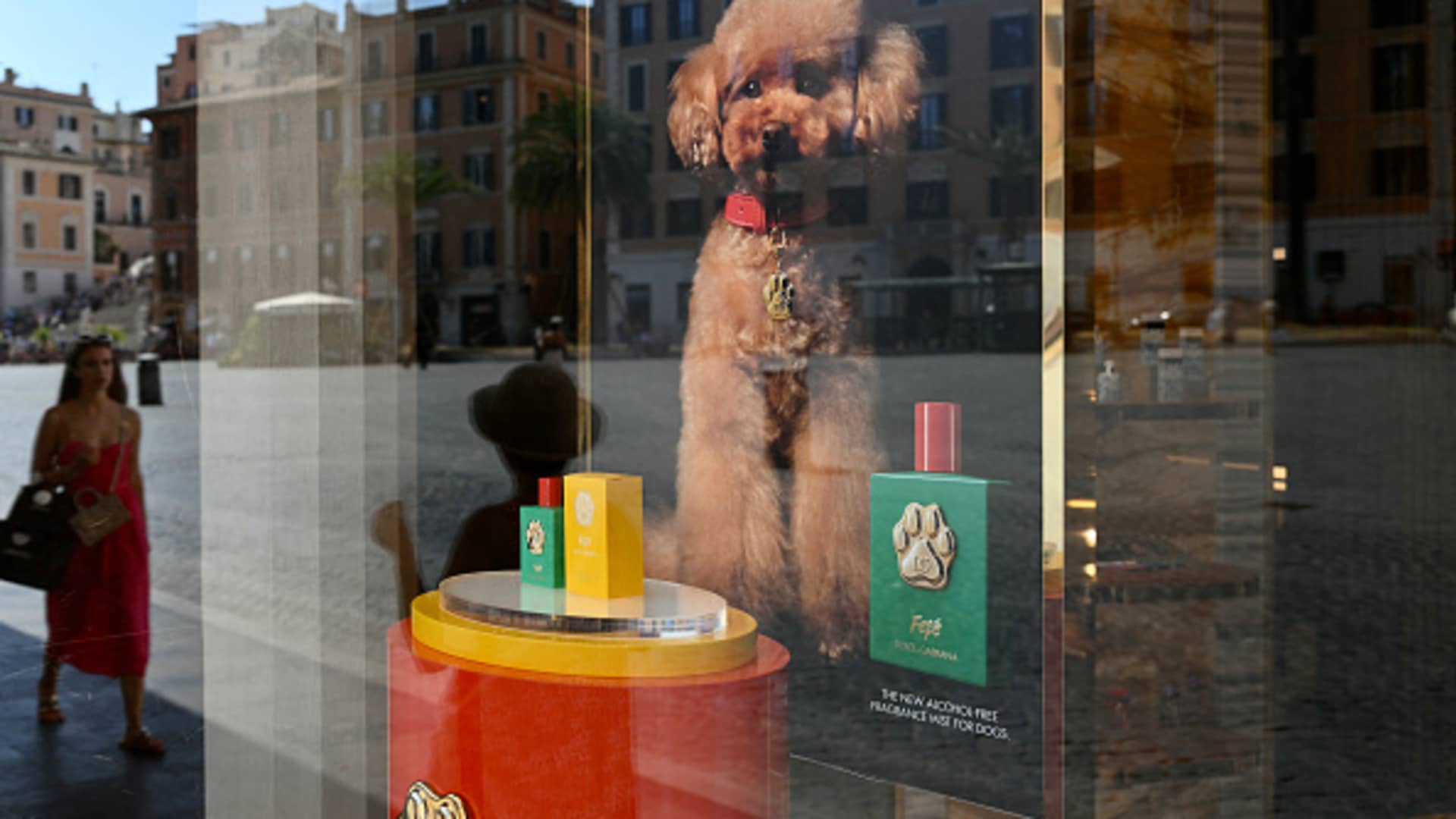 Dolce & Gabbana launches $100 perfume for dogs inspired by owner's pet