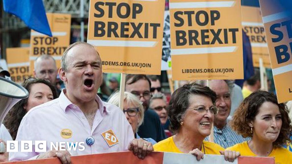 Brexit truce as pro-EU Lib Dems focus on long game