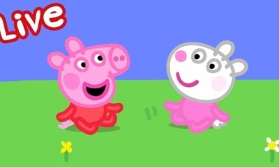 Peppa Pig Full Episodes 🌈 Peppa Pig STREAMING NOW 🌟 Kids Videos 🔴