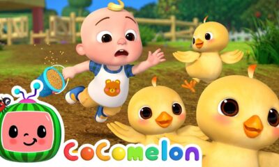 🔴LIVE CoComelon Animals | Songs, Learning, and Animal Fun for Kids! 🦒🐯