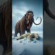 Mammoth vs Animals vs Dinosaurs (T.Rex, Lion, Tiger)