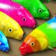 Cartoon Stop Motion ASMR - Believe This Fishing? Big Red fish Carp eel videos Mudfish Cooking