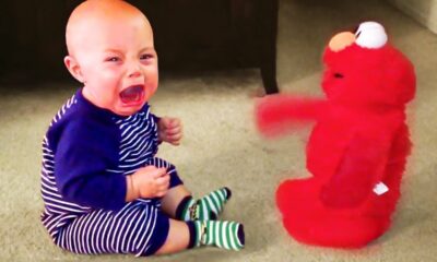 🔴 [FUNNY LIVE] - 30 minutes Funniest and Cutest Babies - Funny Baby Videos II Cool Peachy