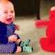 🔴 [FUNNY LIVE] - 30 minutes Funniest and Cutest Babies - Funny Baby Videos II Cool Peachy