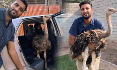 Es Ki Jga Kon Sa Animal Ara Hai?? Bye Bye Ostrich 😍