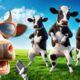 FUNNY COW DANCE FOR 12 MINUTES STRAIGHT | Cow Song & Cow Videos 2024 | Cow dance mix | dancing cow