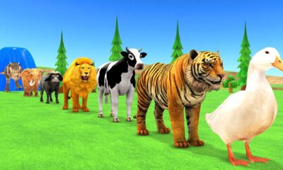 Paint Animals Duck,Tiger,Cow,Lion,Buffalo,Gorilla,Elephant,Dinosaur Fountain Crossing Animal Game Ne