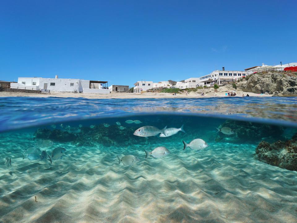 The sea at La Isleta del Moro is crystal clear - fish can be seen swimming from the surface