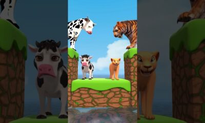 Knowledge vs Money? With Cartoon Cow vs Tiger What Do Choose? #Shorts #Cartoon #Viral #shortsfeed