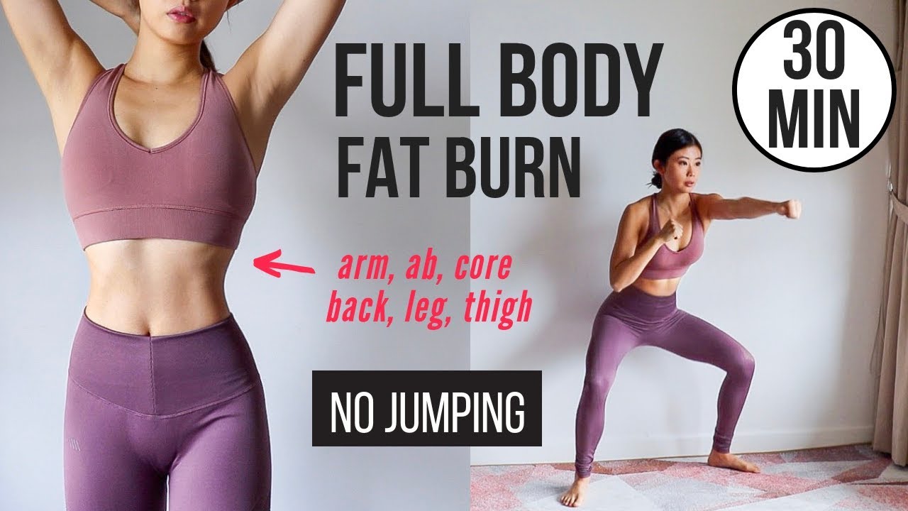 30 min Full Body Fat Burn HIIT (NO JUMPING) - Ab, Core, Arm, Back, Leg, Thigh & Cardio ~ Emi