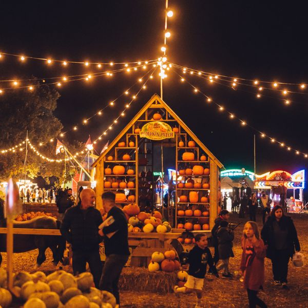 Avon Valley Adventure & Wildlife Park even has a fairground and pumpkin paintball