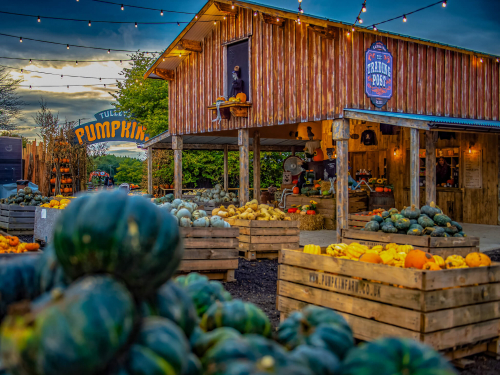 Tulleys Farm calls itself the "no.1 UK pumpkin festival"