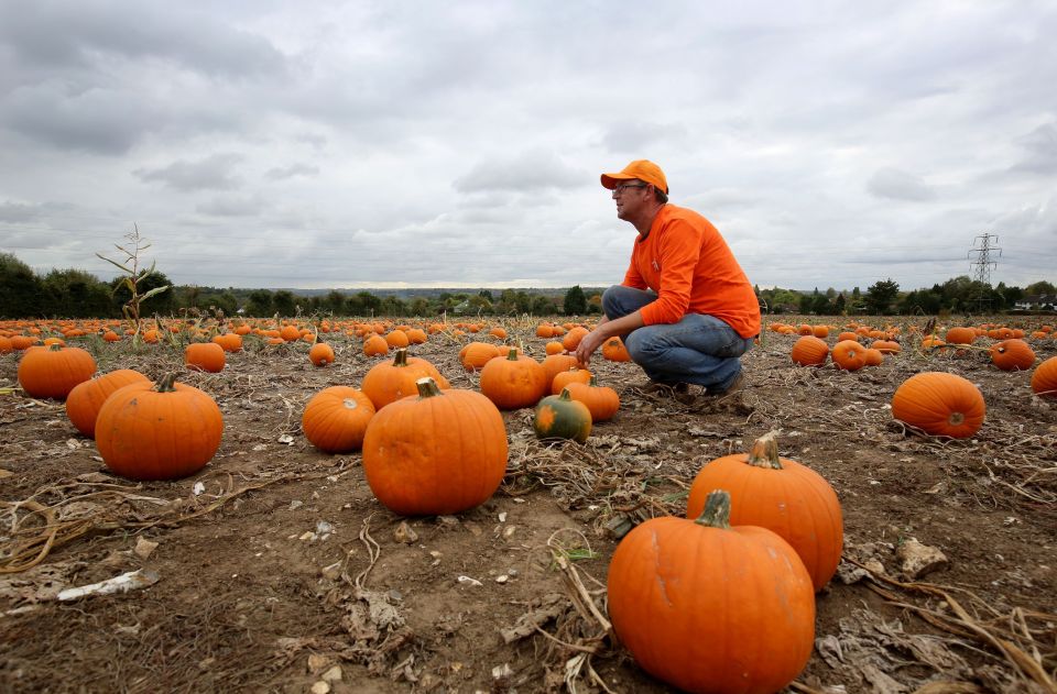 Pumpkin Moon is found at two Kent locations