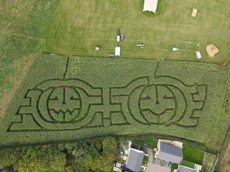 Forage Farm in Glamorgan has lots of attractions along with pumpkin picking