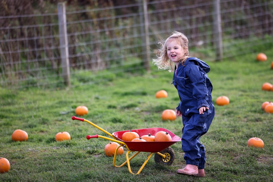 Morperth's Whitehouse Farm won't just have pumpkins