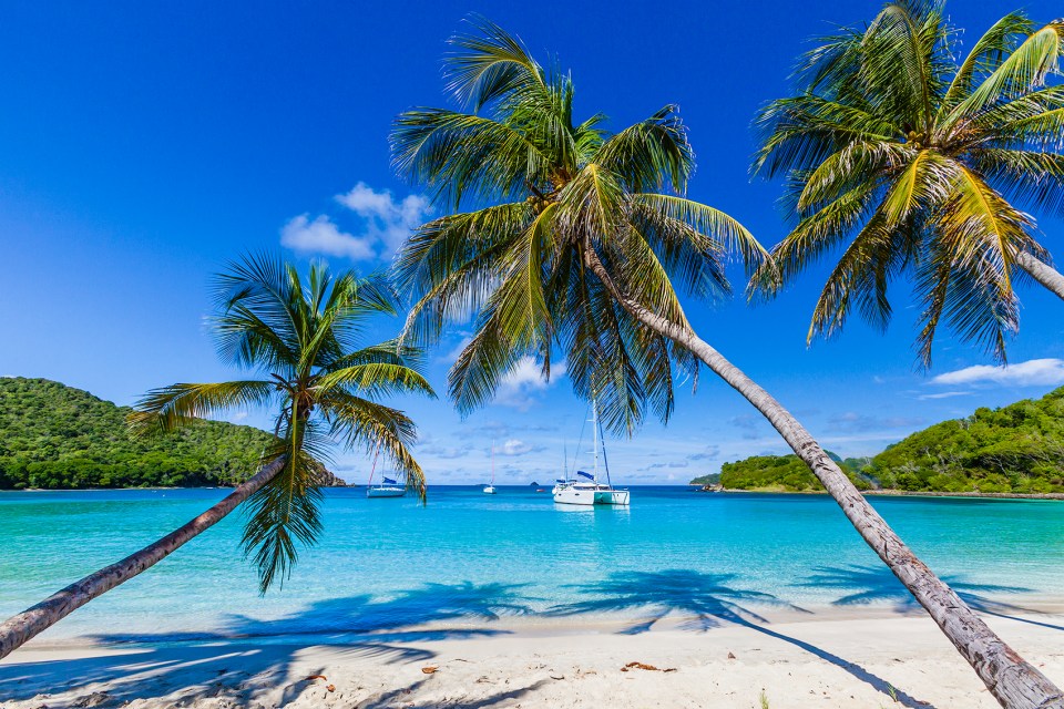 Saint Vincent is also home to some stunning tropical beaches