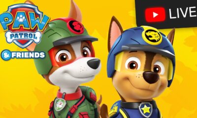 🔴 NEW! PAW Patrol Season 10  Jungle Rescue, Rescue Wheels, Mighty Pups - All Day Cartoon Live Stream