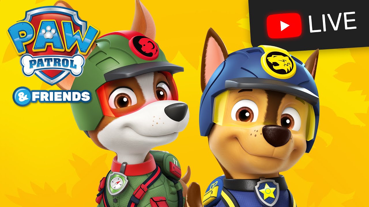 🔴 NEW! PAW Patrol Season 10  Jungle Rescue, Rescue Wheels, Mighty Pups - All Day Cartoon Live Stream