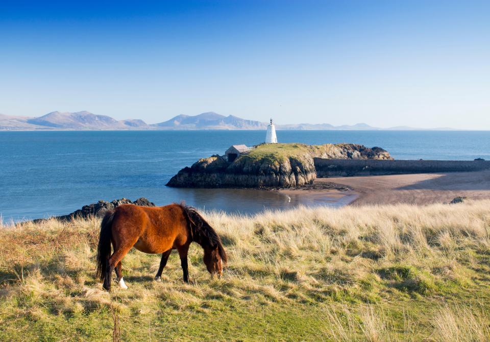 Holidaymakers will be able to reach Llanddwyn Island at low tide