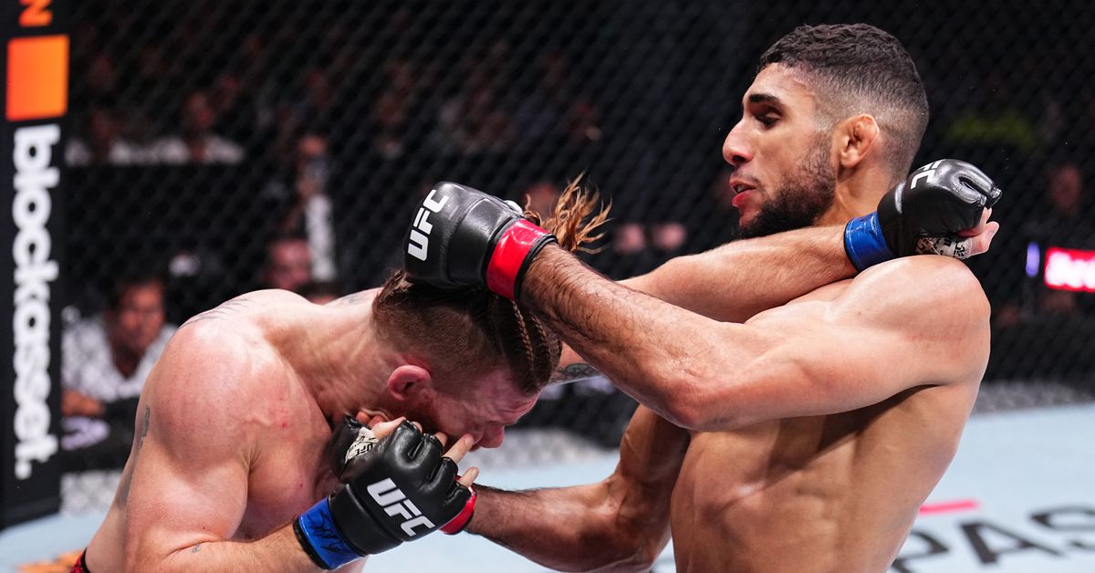 Four bonuses handed out at UFC Paris