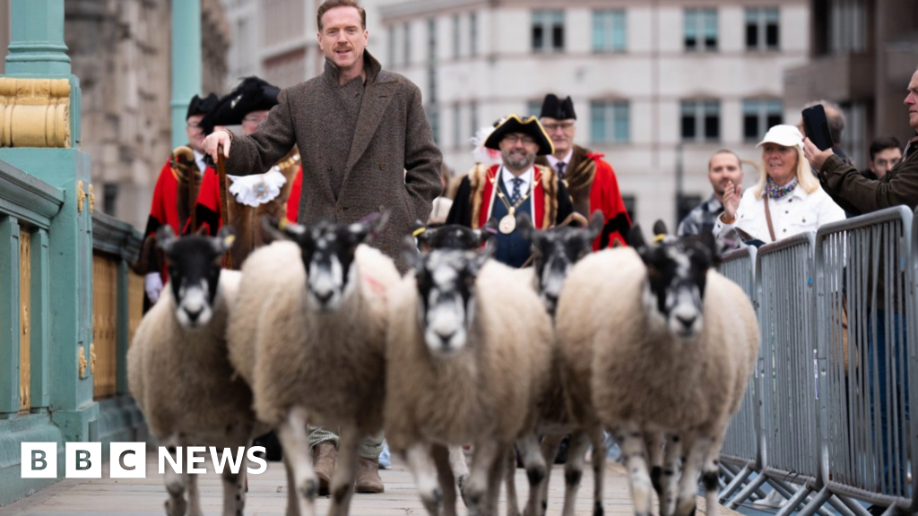 Hollywood star Damian Lewis shepherds sheep over London bridge