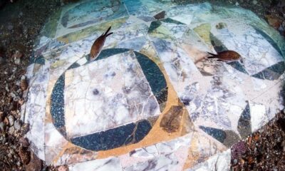 Archaeologists make stunning underwater discovery of ancient mosaic in sea off Italy