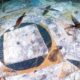 Archaeologists make stunning underwater discovery of ancient mosaic in sea off Italy