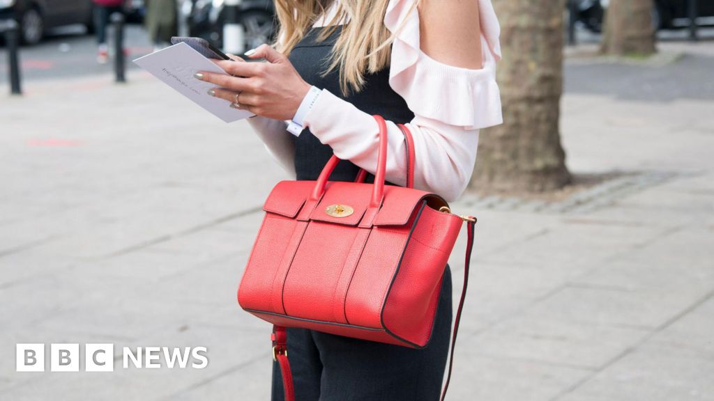 Mike Ashley's Frasers Group makes bid for handbag maker