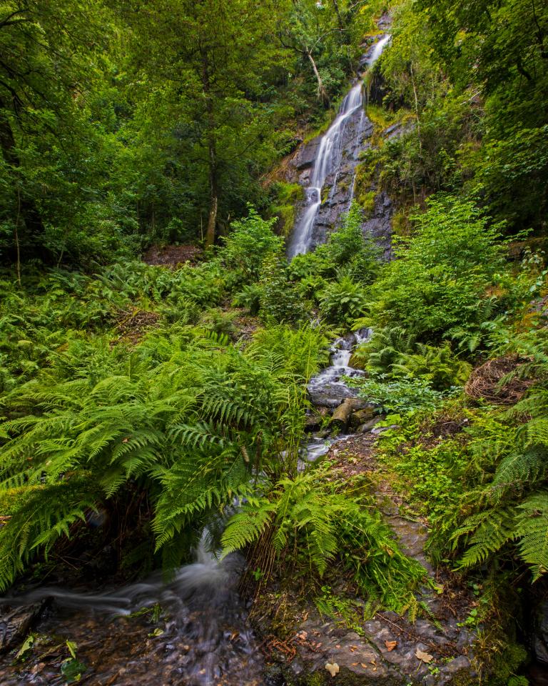 Lady Exmouth Falls is the highest man-made waterfall in the UK