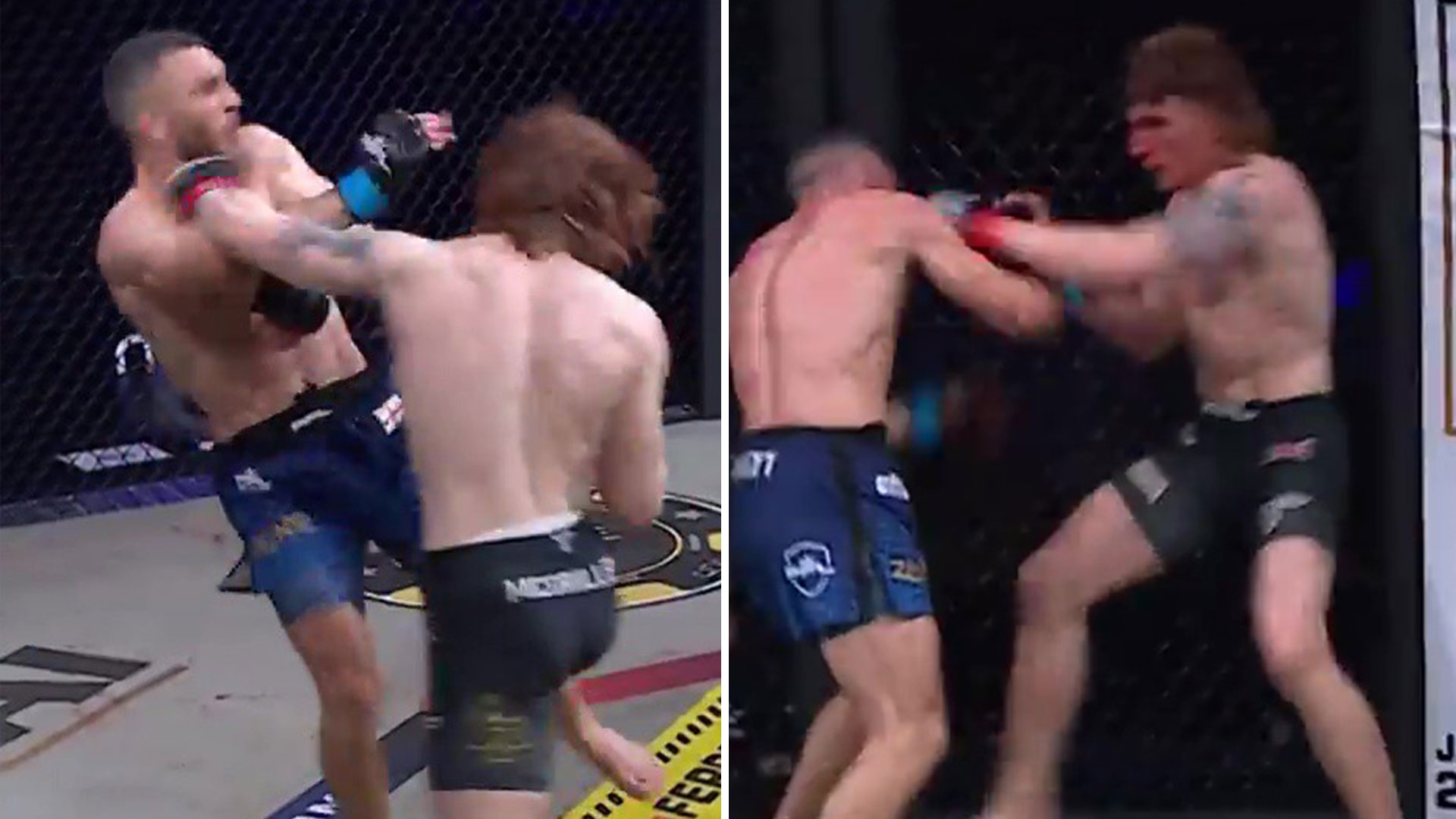 Fans in meltdown over 'Fight of the Year candidate' with 14 knockdowns and brutal KO finish