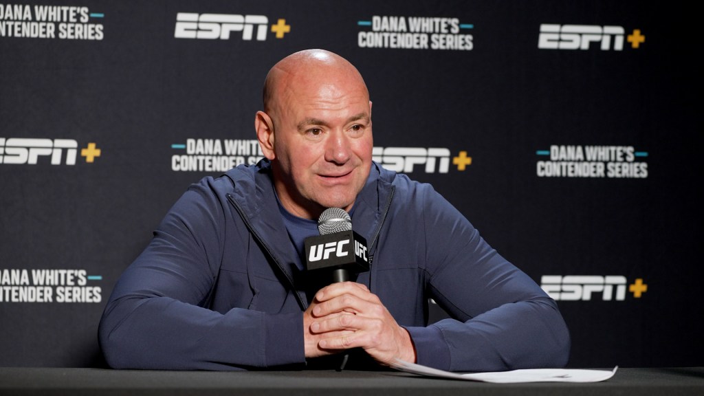 UFC CEO Dana White sees ‘million reasons’ now is time for boxing entry