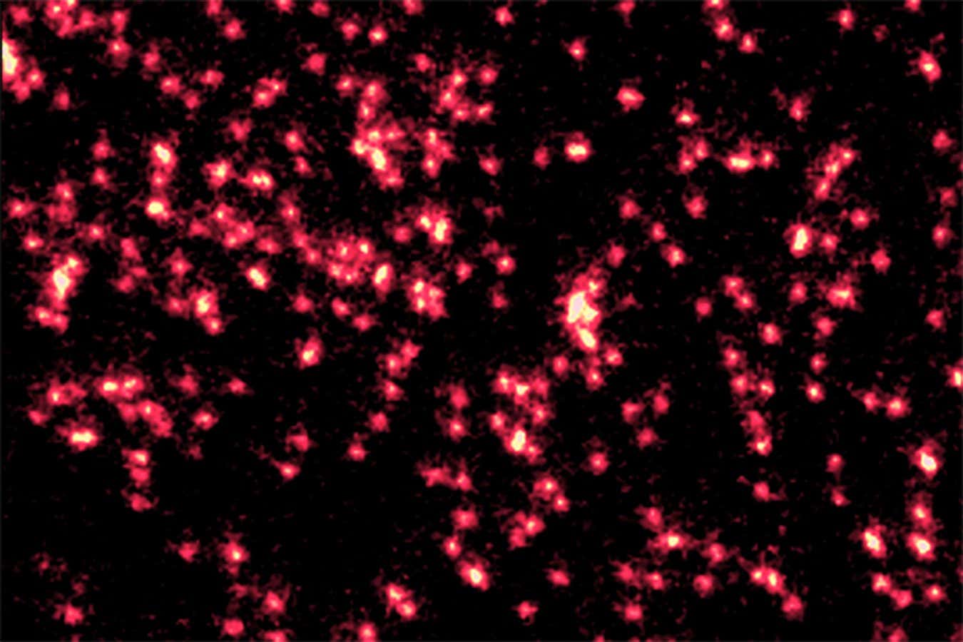 Single atoms captured morphing into quantum waves in startling image