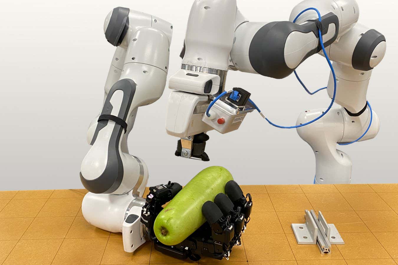 Watch a robot peel a squash with human-like dexterity