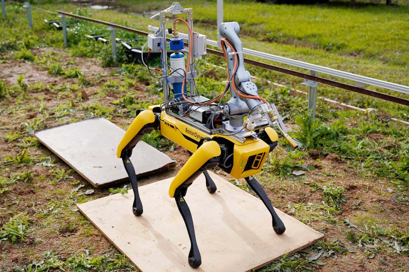 Robot dog can stifle weeds by blasting them with a blowtorch