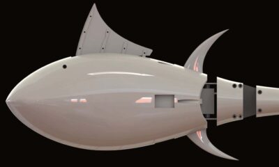 Designed robotic tunafish featuring the morphing (first) dorsal fin https://arxiv.org/abs/2407.18843v1