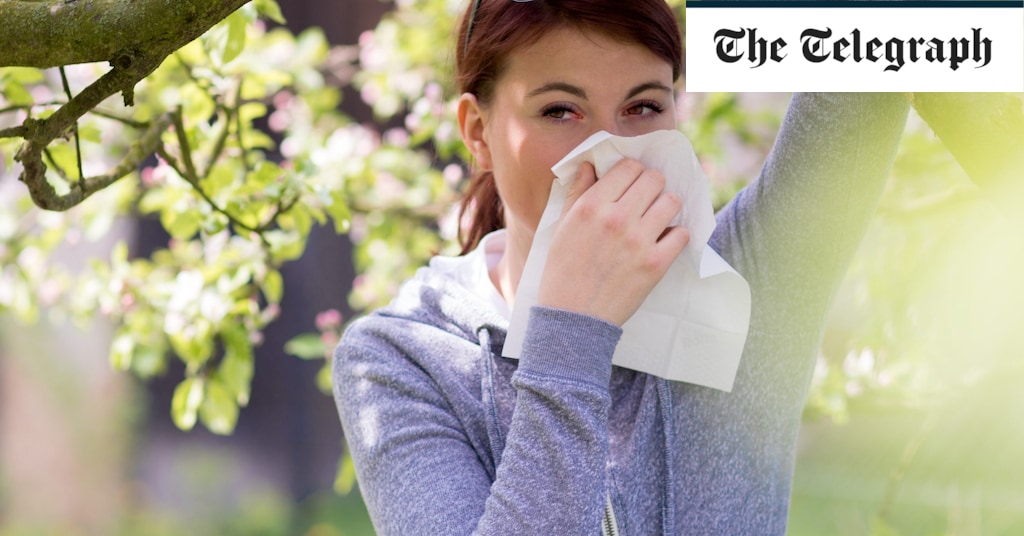 Hay fever or Covid-19? How to treat symptoms with these simple remedies