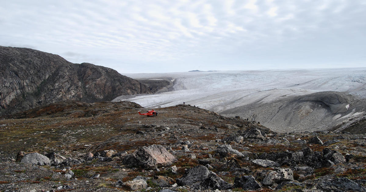 Fossil discovery in Greenland ice sheet reveals increased risk of sea level rise