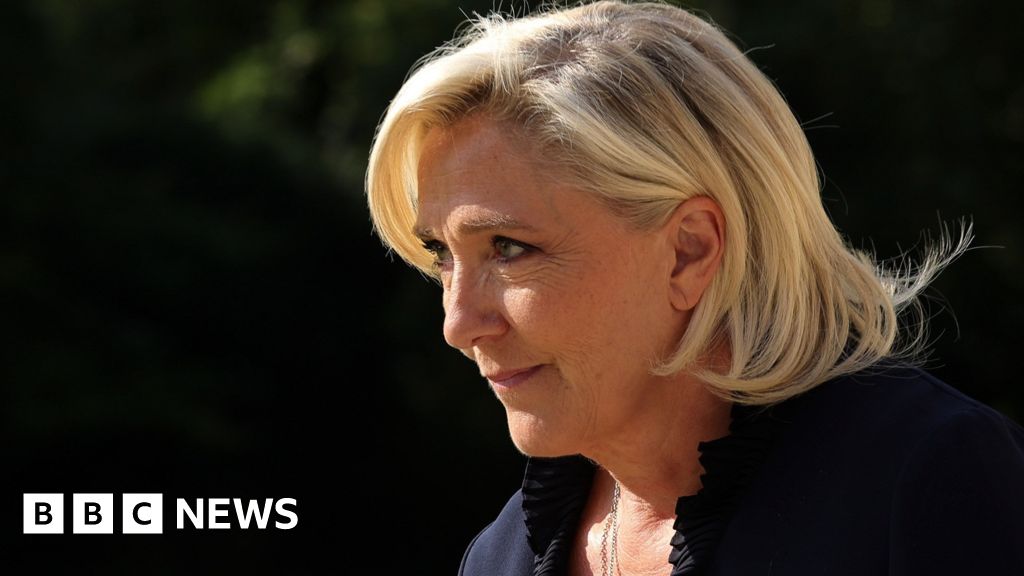 Marine le Pen on trial for alleged EU funds misuse