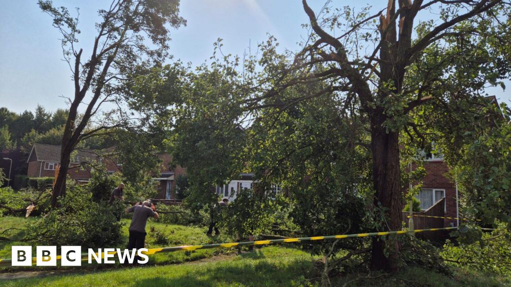 Trees fall down and homes damaged