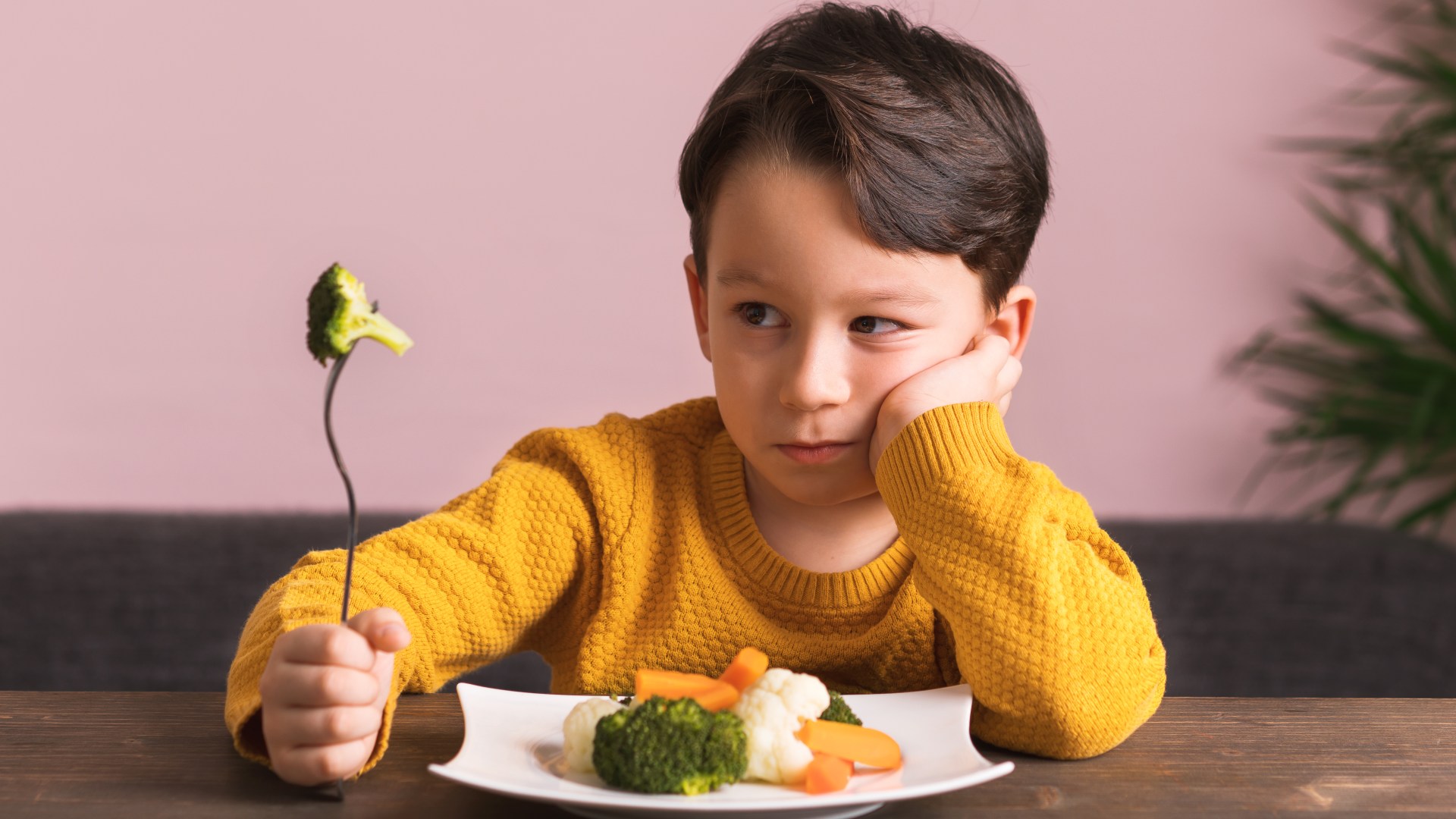 Is your child a fussy eater? Parents are not to blame, scientists say - and it's not 'just a phase'