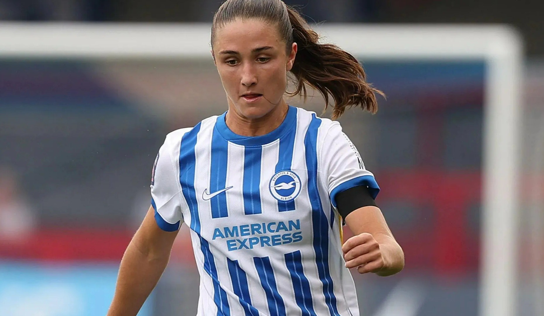 Haley hopeful that Brighton and Spain ace Bruna can help Seagulls soar in top six push