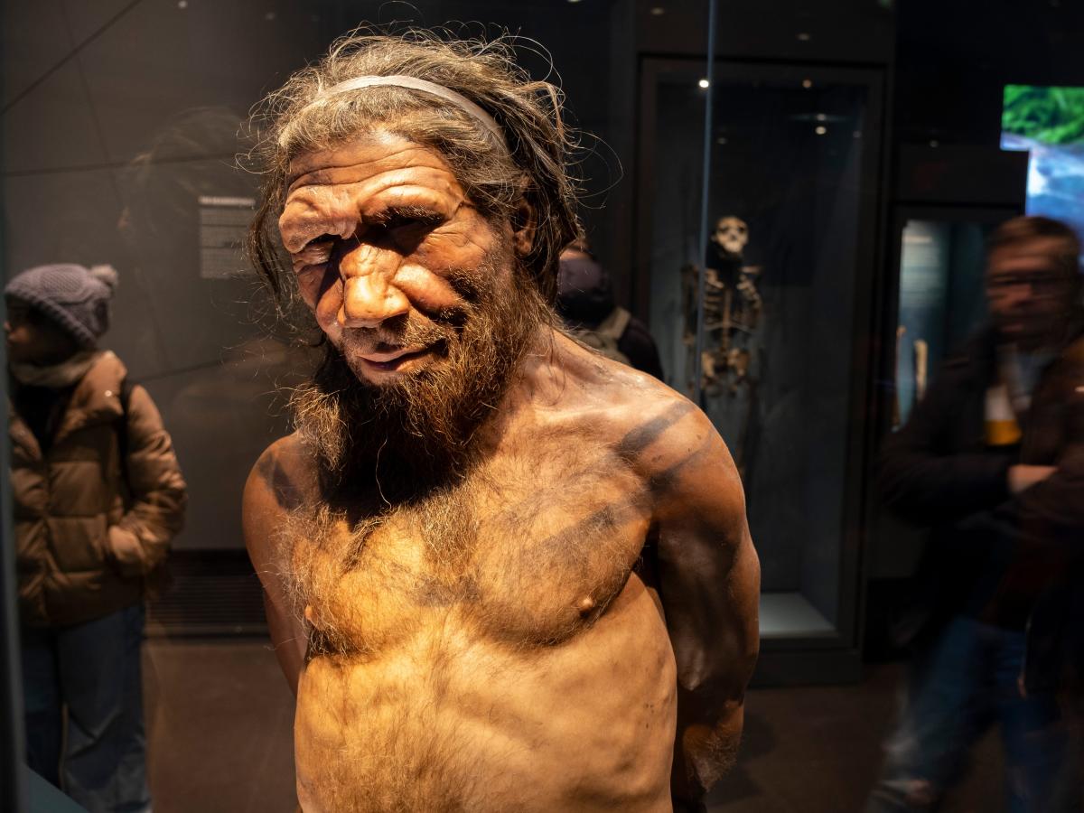 Scientists discovered a unique line of Neanderthals and it's helping solve the mystery of humanity's last great extinction