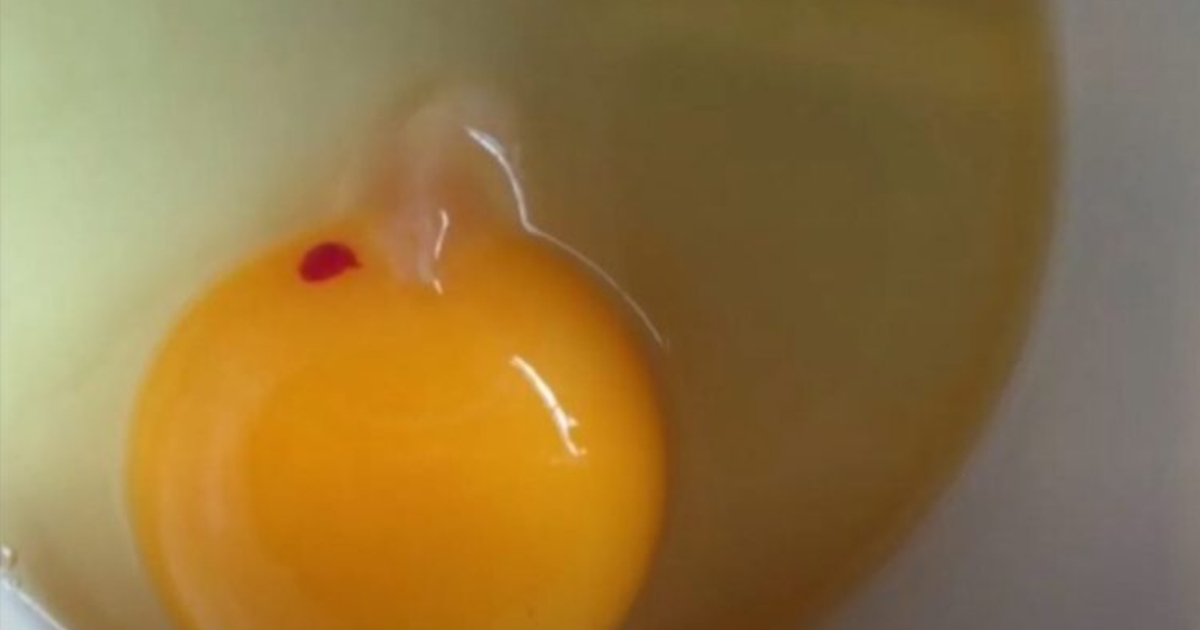 Red Spot in Your Egg? Here's What You Need to Know