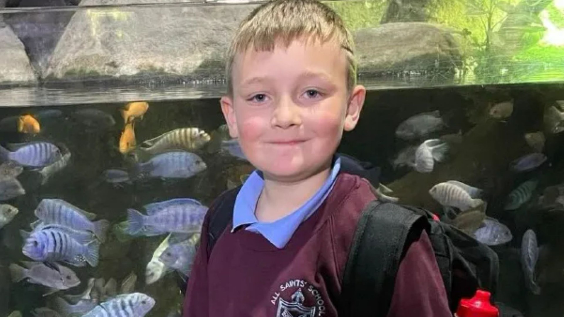 Schoolboy, 9, dies ‘completely out of the blue’ on way home from holiday as devastated family pay tribute – The Sun