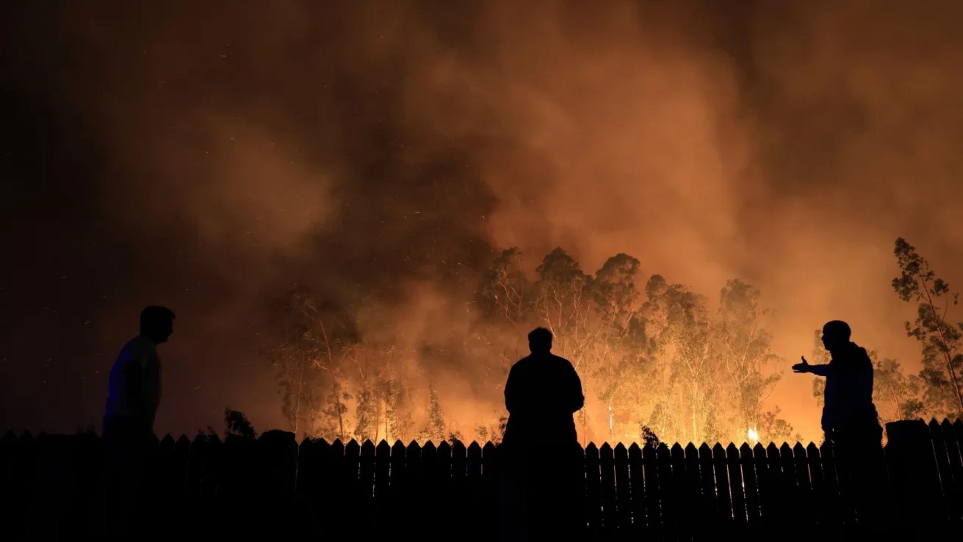 Portugal wildfires 2024: is it safe to travel or should I cancel my holiday?