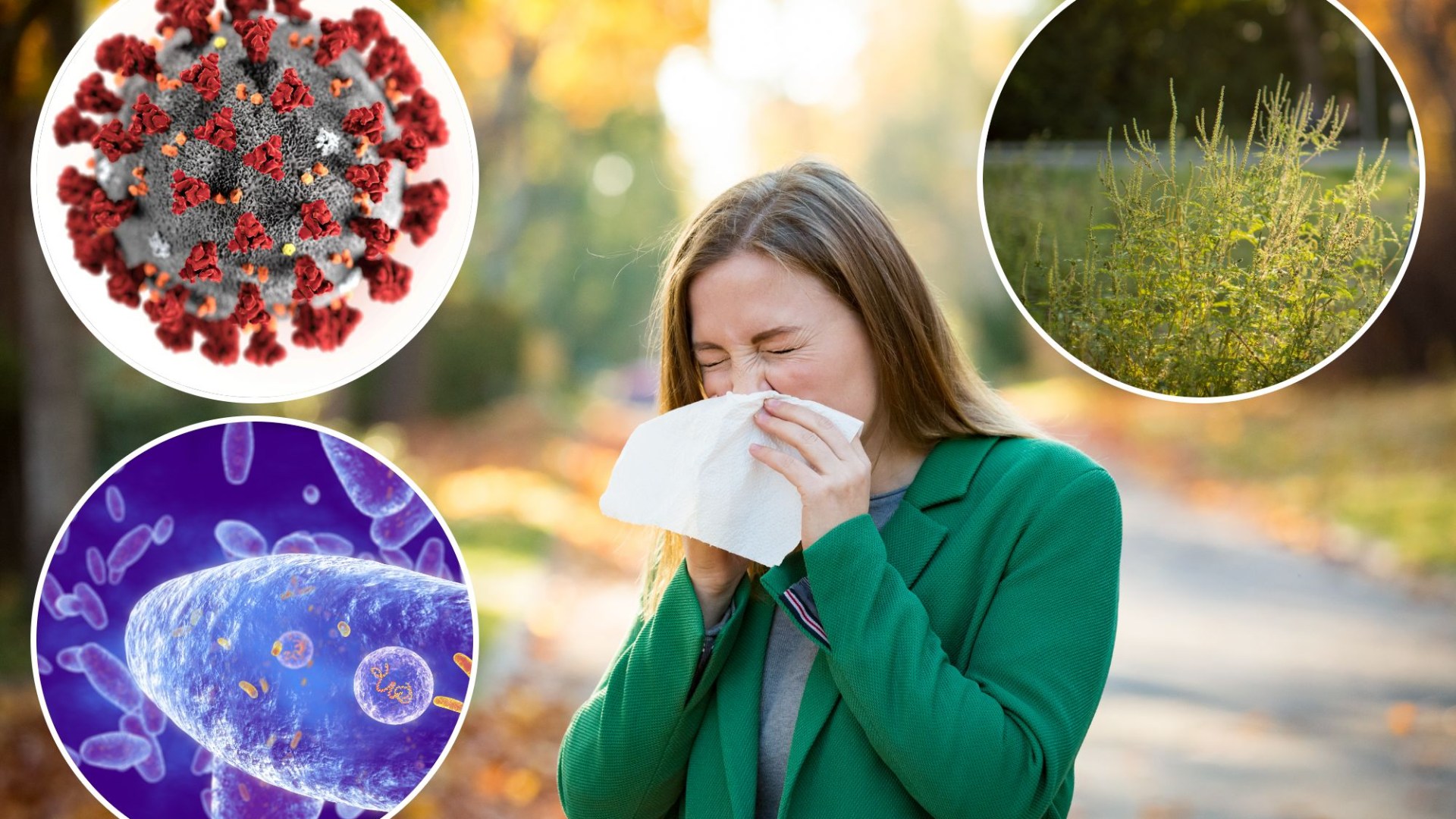 Do you have 'autumn sneezing syndrome, the new Covid XEC strain or the 100-day-cough? All the symptoms you must know