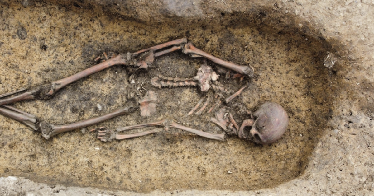 50 "exceptionally well-preserved" Viking skeletons unearthed in Denmark