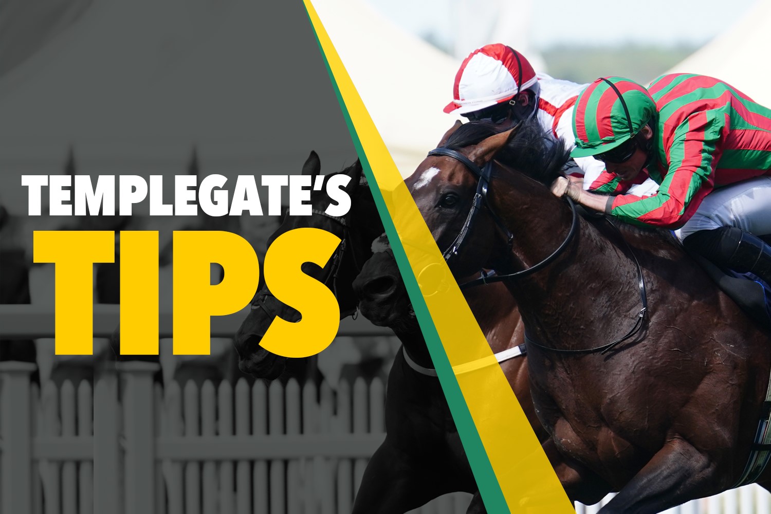 Horse racing tips: Templegate's gigantic 40-1 NAP can leave the bookies reeling in the big race at Newmarket